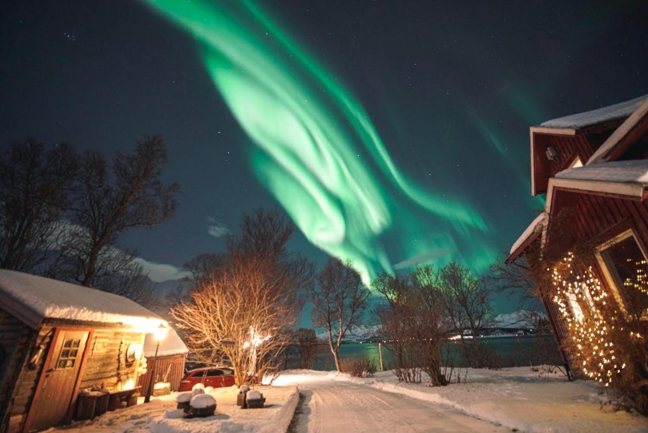 Strandheim Tromsø